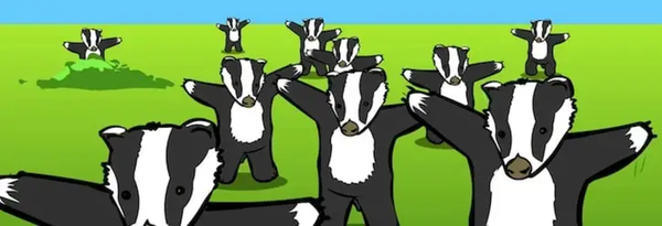 BadgerBadger