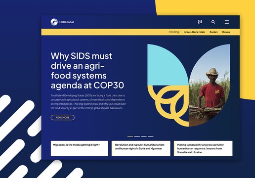 ODI Global website design