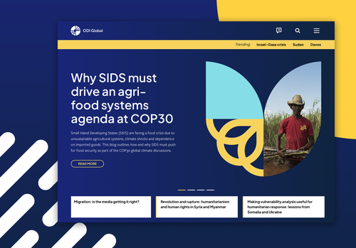 ODI Global website design